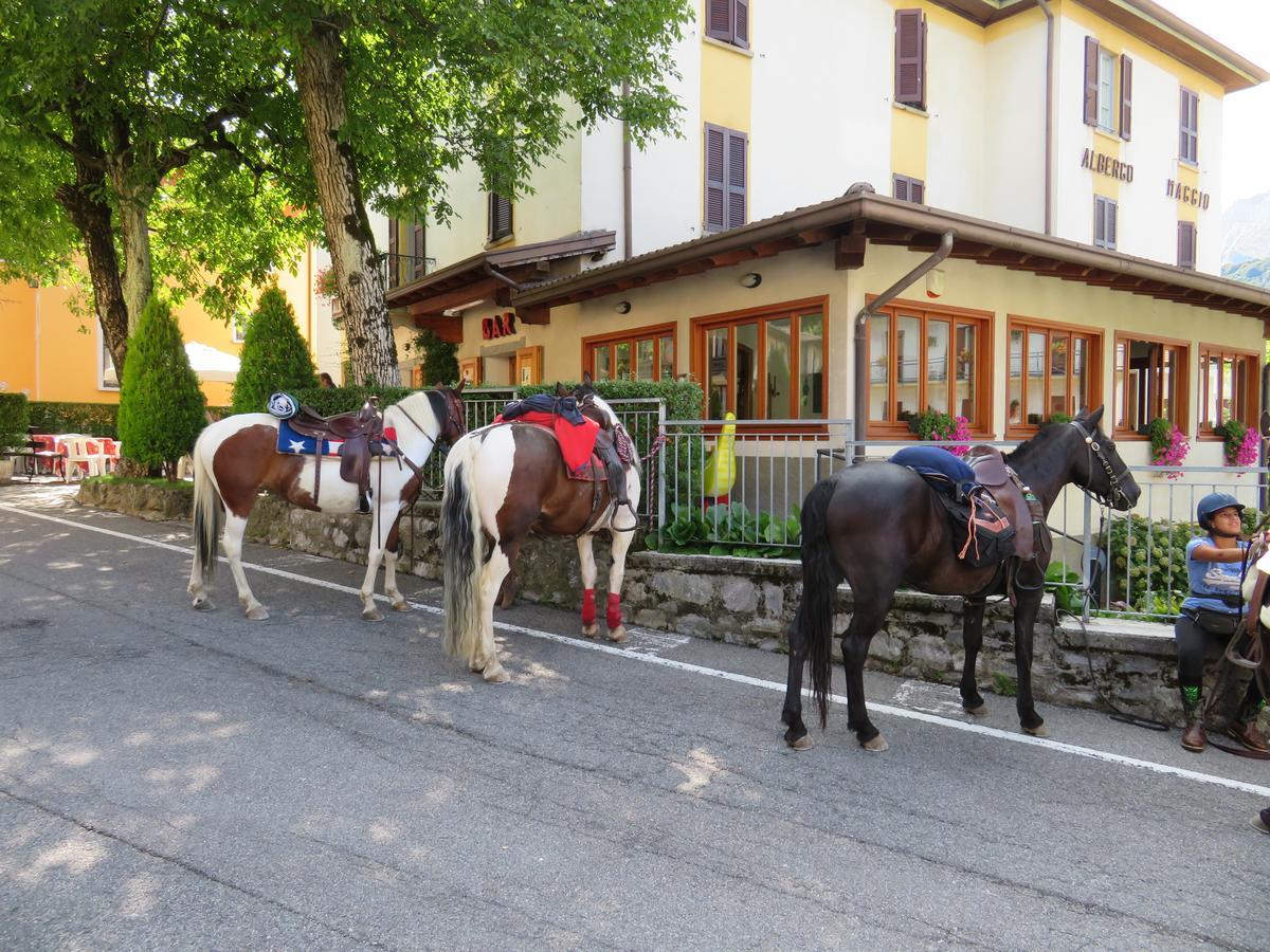 Albergo Maggio エクステリア 写真